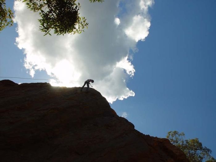 human silhouettes photo