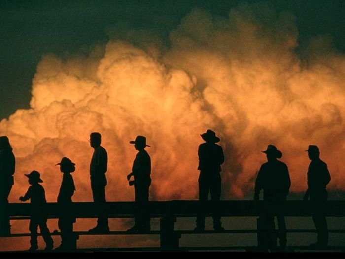 human silhouettes photo