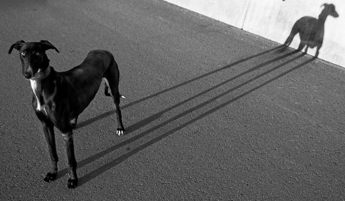 black and white photography