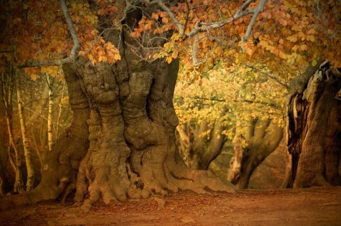 HDR photography