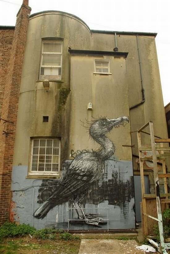 animal street art graffiti