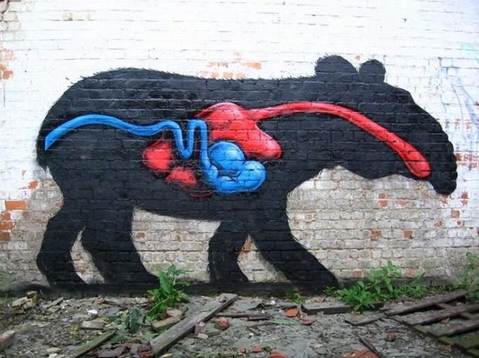 animal street art graffiti