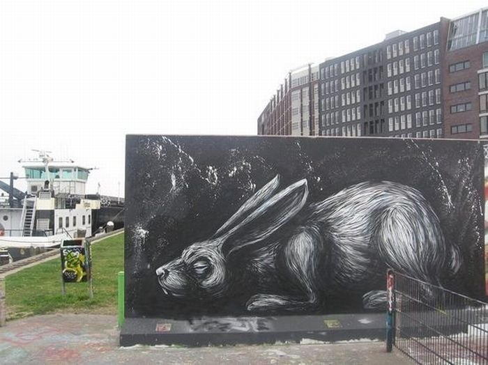 animal street art graffiti