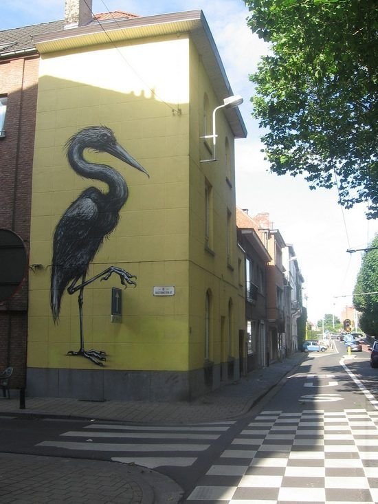 animal street art graffiti