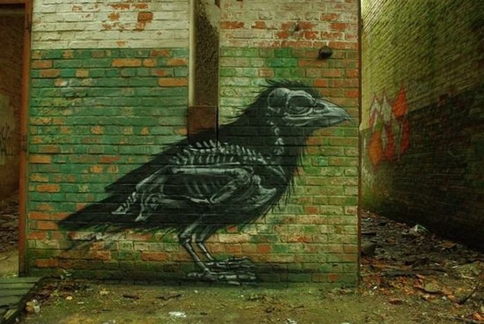 animal street art graffiti