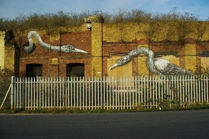 animal street art graffiti