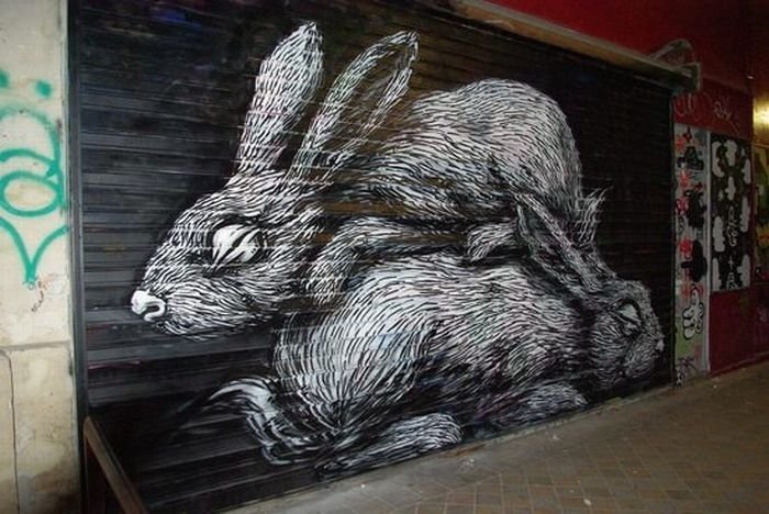 animal street art graffiti