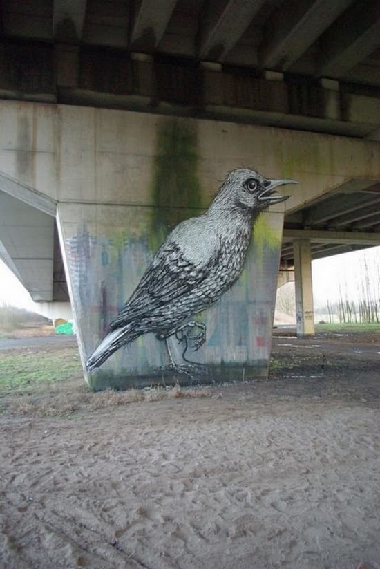 animal street art graffiti