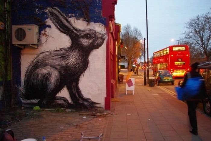 animal street art graffiti