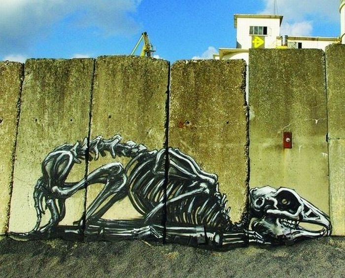 animal street art graffiti