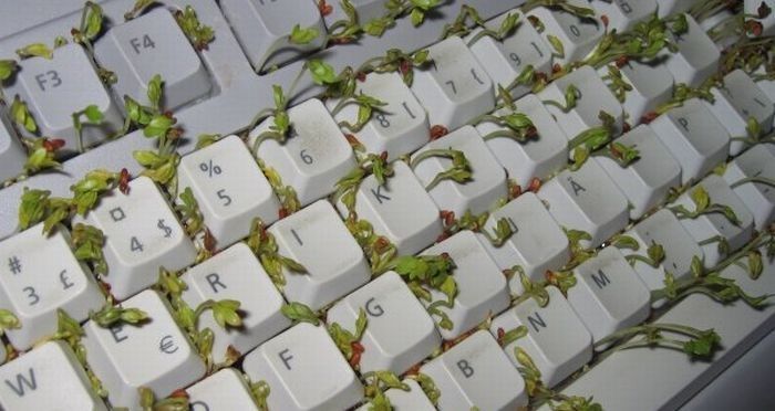 cress in keyboard