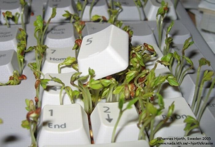 cress in keyboard