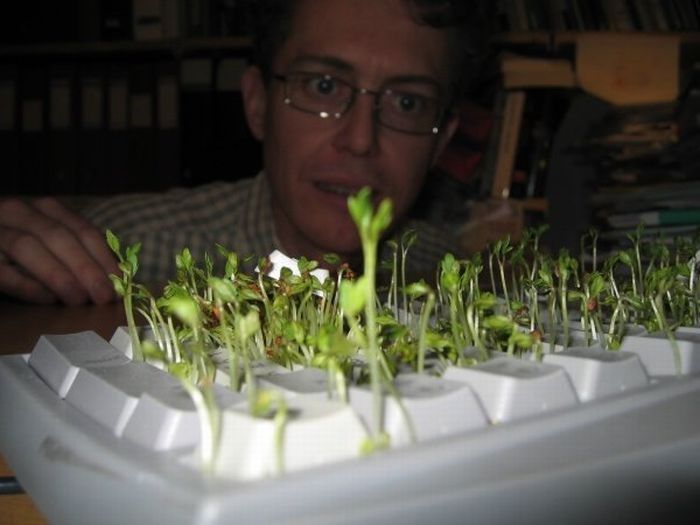 cress in keyboard
