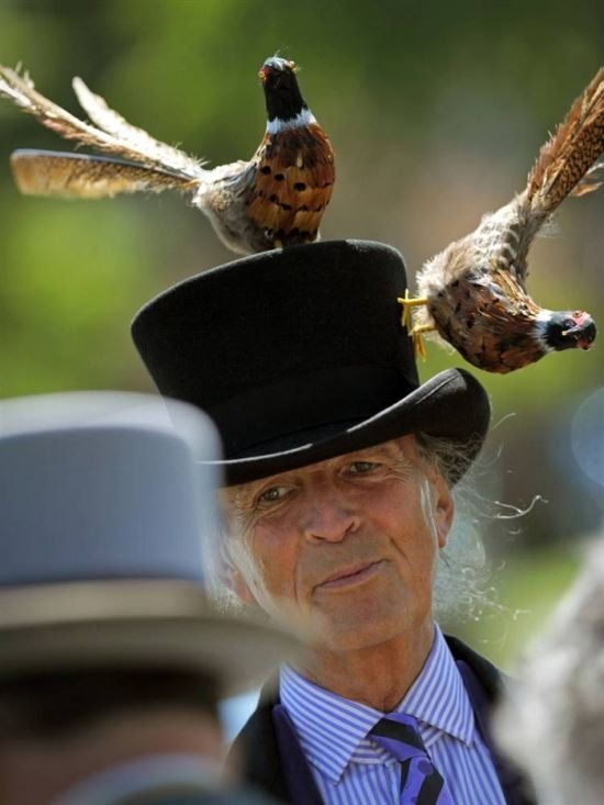 Hats of racing at Royal Ascot