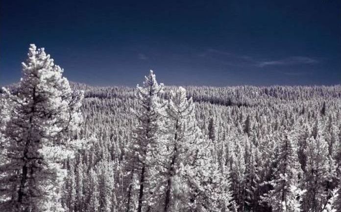 Infrared photography by Jeffrey Klassen