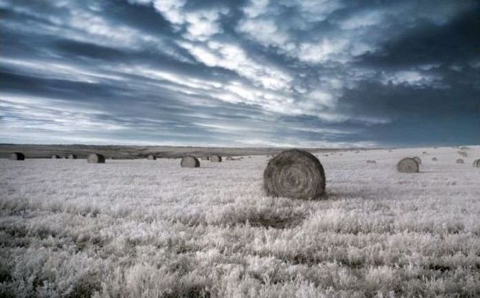 Infrared photography by Jeffrey Klassen