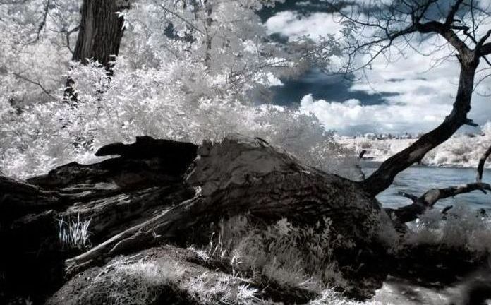 Infrared photography by Jeffrey Klassen