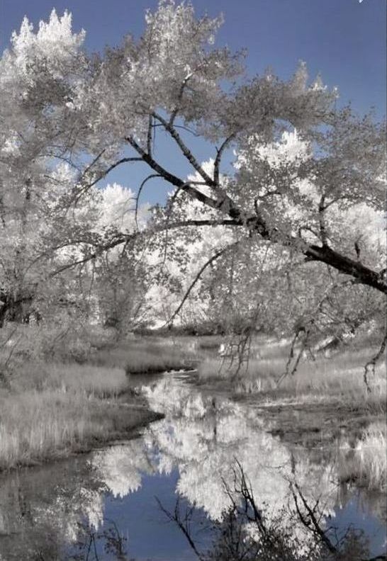 Infrared photography by Jeffrey Klassen