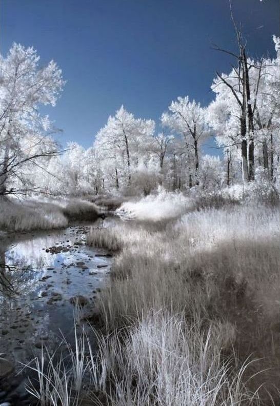 Infrared photography by Jeffrey Klassen