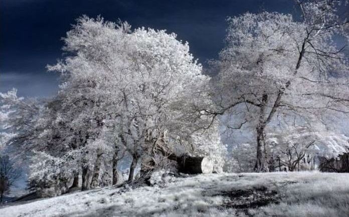 Infrared photography by Jeffrey Klassen