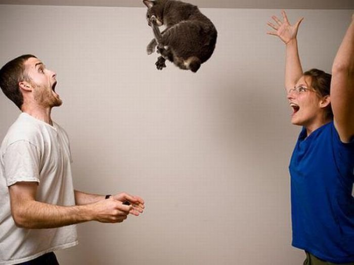 Surreal art by Thad and Sarah Lawrence