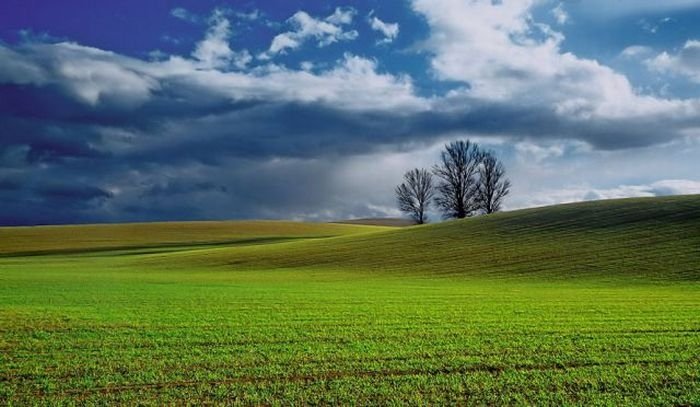 Photo of nature by Saul Santos Diaz