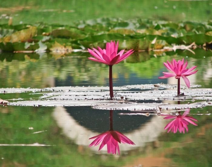 reflection photography