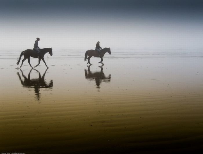 reflection photography
