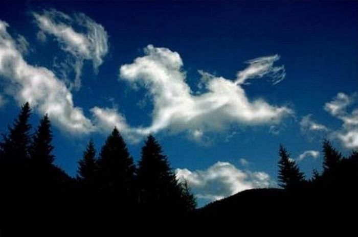 clouds formation creates a horse