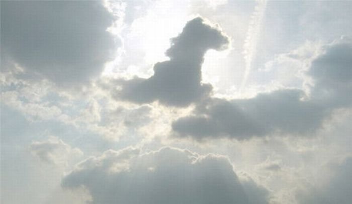 clouds formation creates a horse