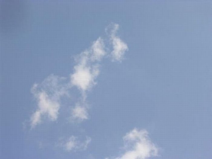 clouds formation creates a horse