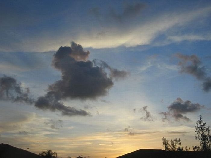 clouds formation creates a horse