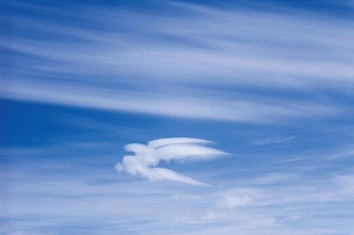 clouds formation creates a horse