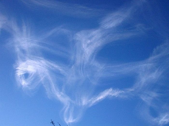 clouds formation creates a horse