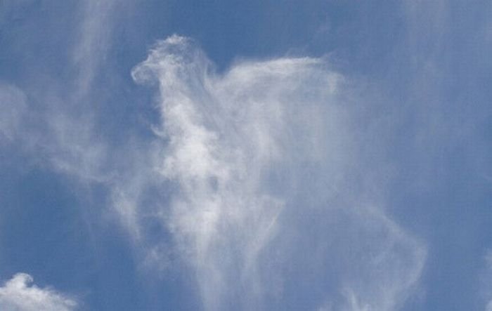 clouds formation creates a horse