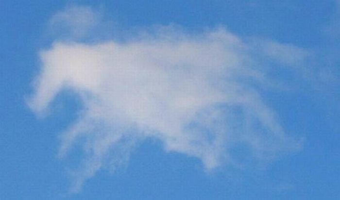 clouds formation creates a horse