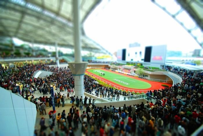 tilt-shift photography