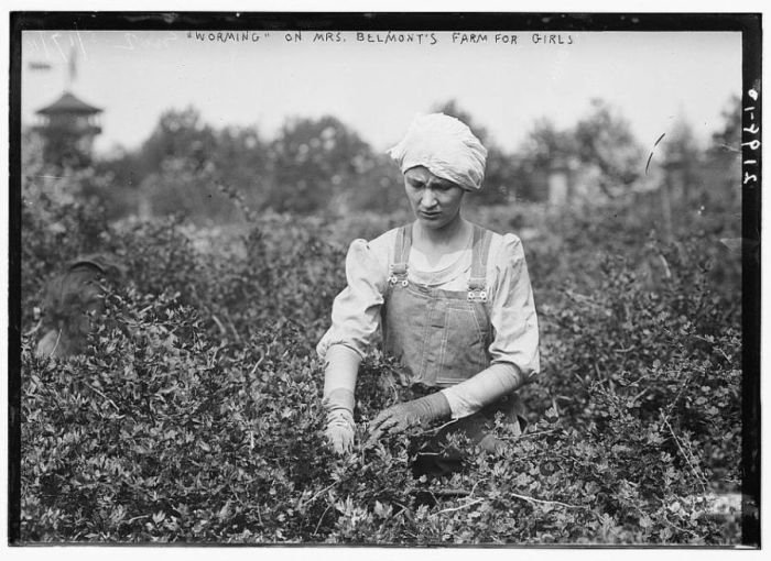 History: George Grantham Bain photography 1910-1912