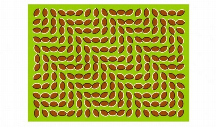 optical illusion