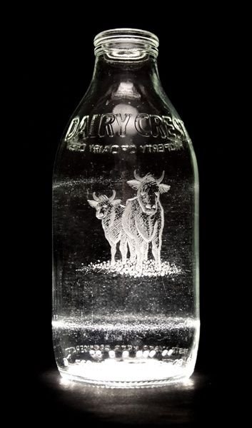 Milk bottle art by Charlotte Hughes-Martin