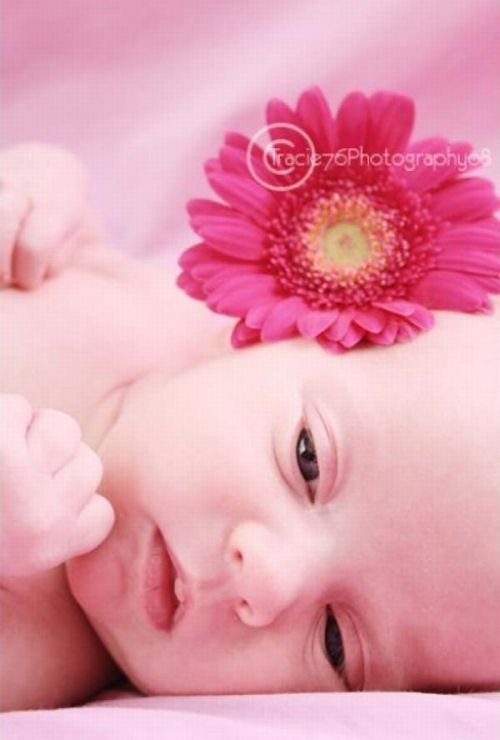 baby photography