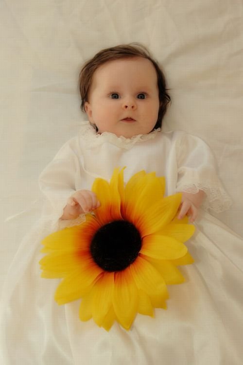 baby photography