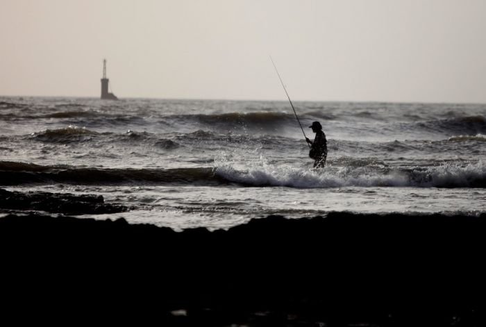 silhouette photography