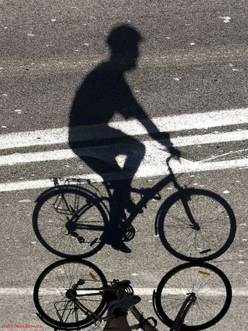 shadows art