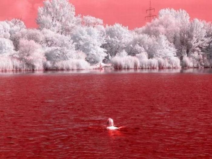 infrared photography