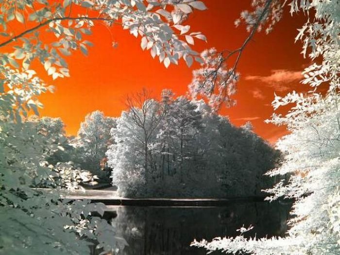 infrared photography