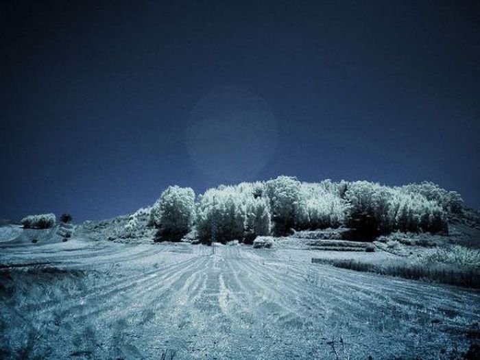 infrared photography