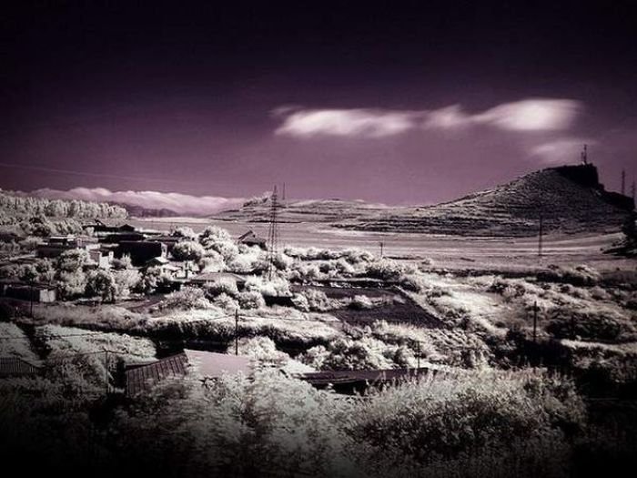 infrared photography