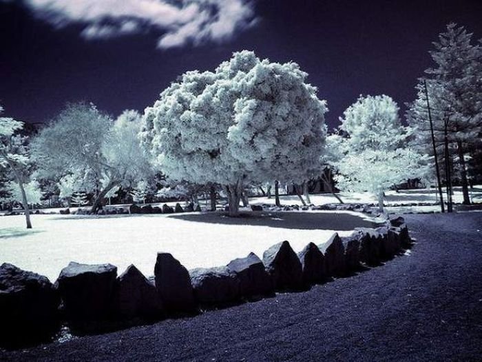 infrared photography