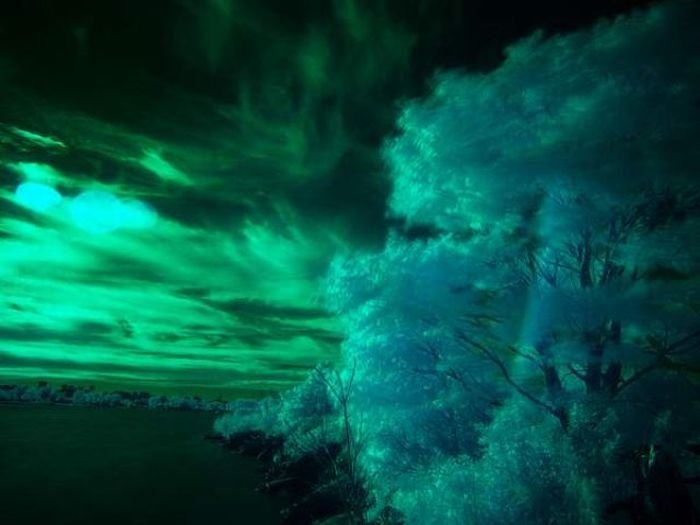 infrared photography